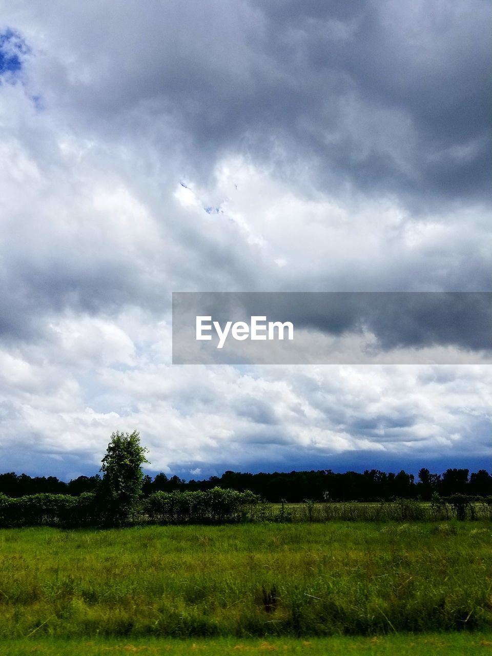 SCENIC VIEW OF GRASSY FIELD AGAINST CLOUDY SKY