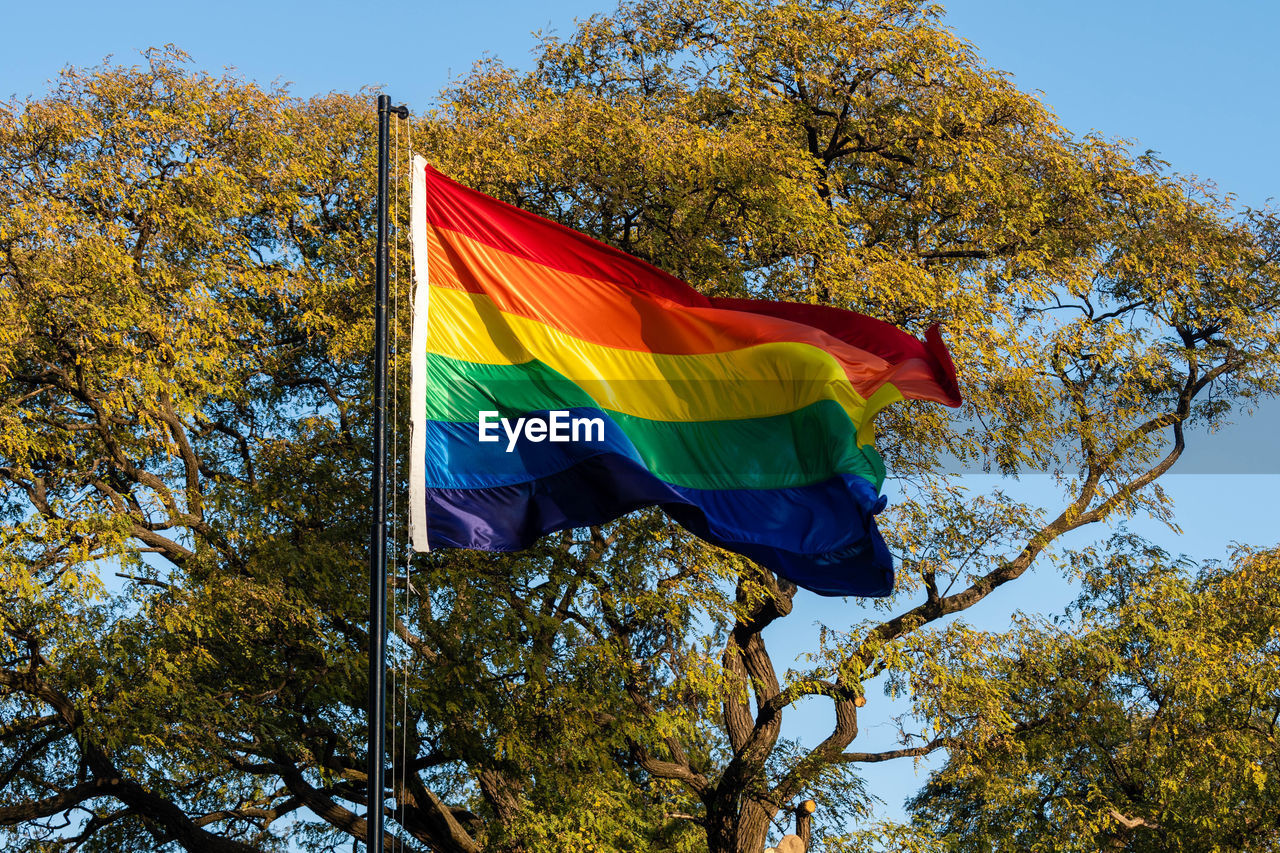 Low angle view of flag against sky