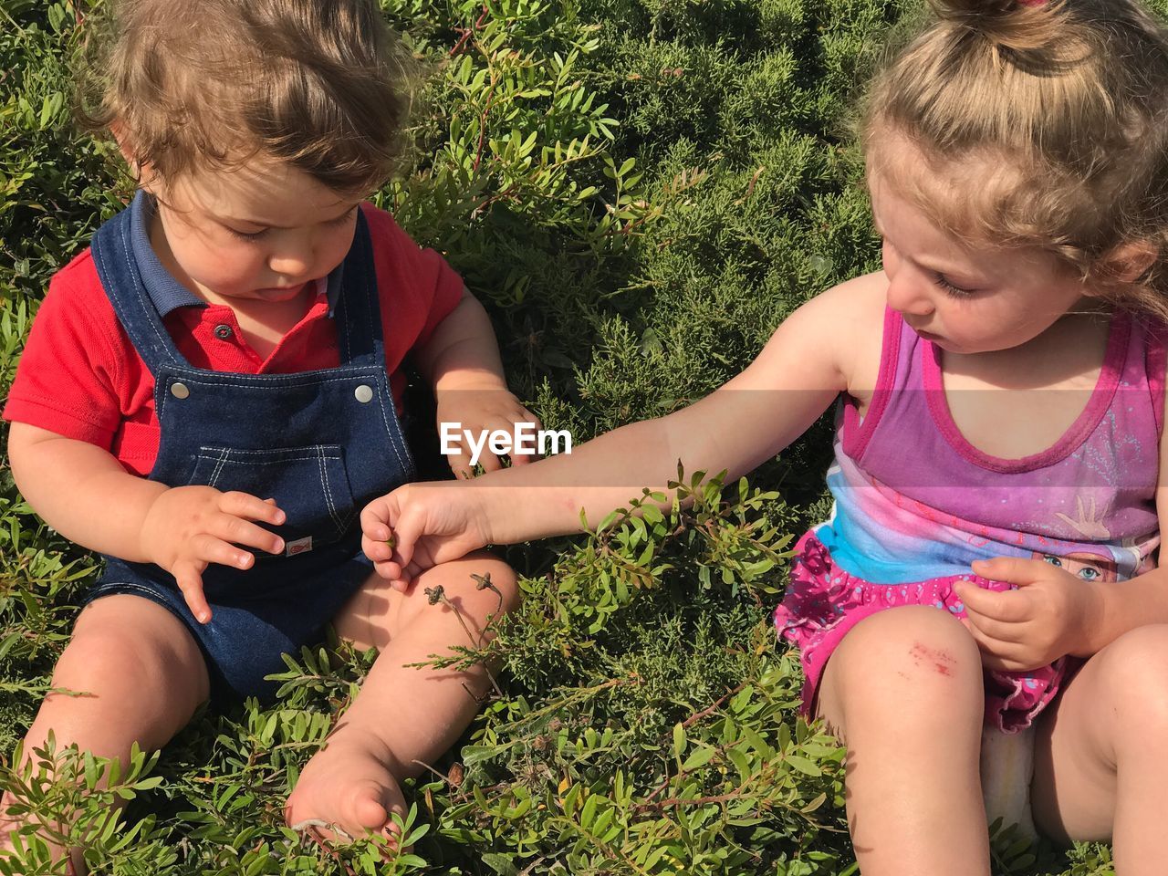 High angle view of siblings sitting on grassy field