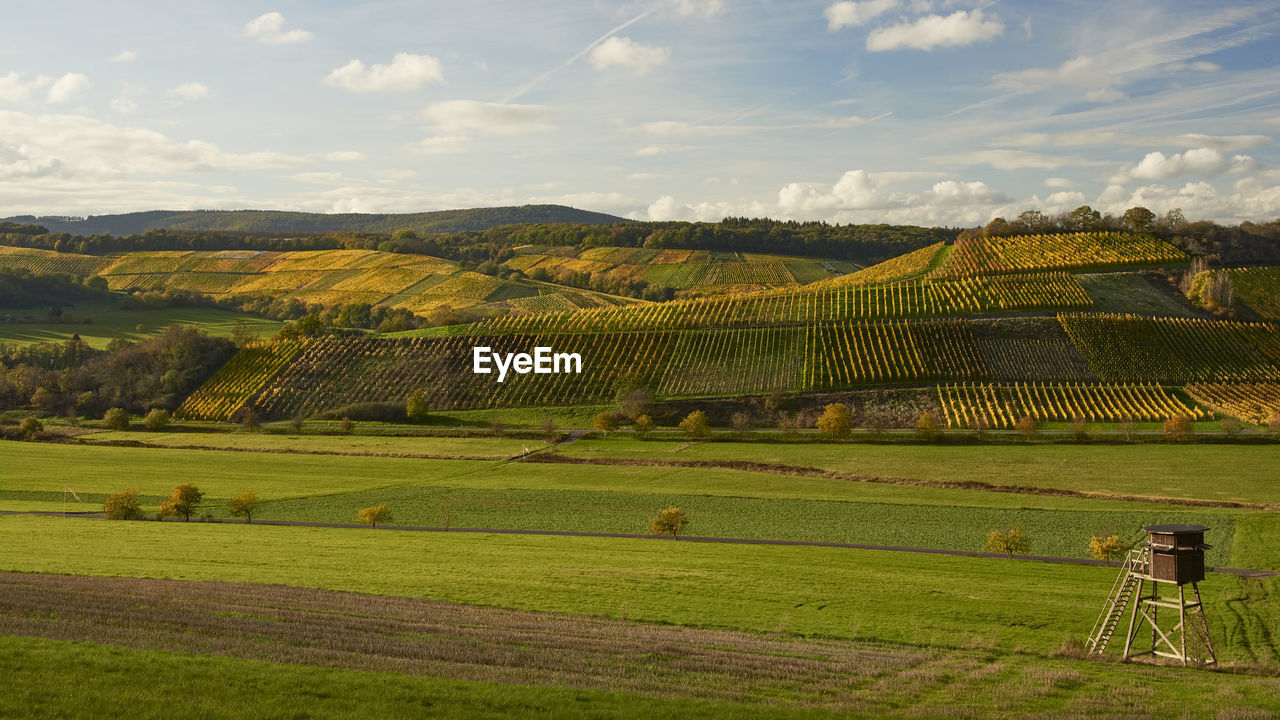 Sunny autumn afternoon in moselle valley. view over the wine hills.