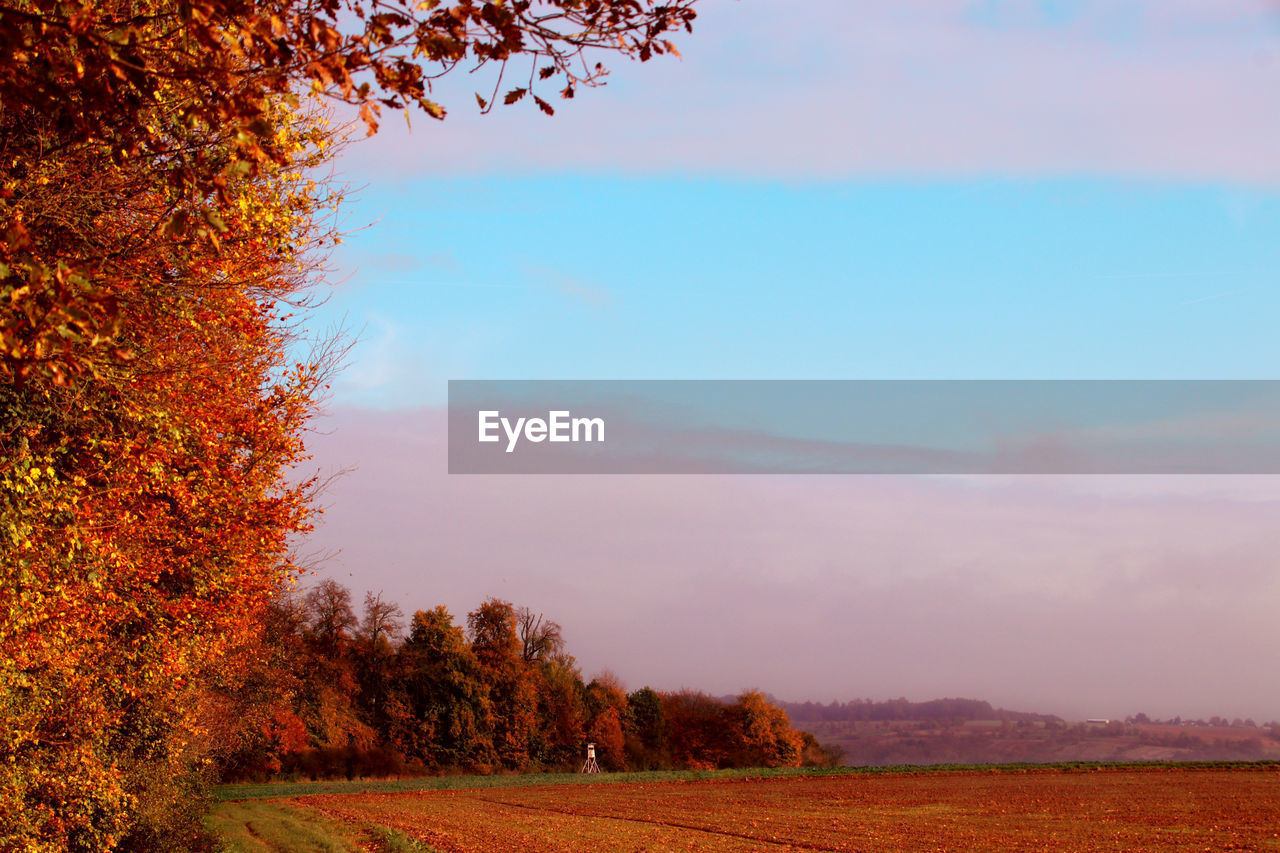 SCENIC VIEW OF FIELD DURING AUTUMN AGAINST SKY