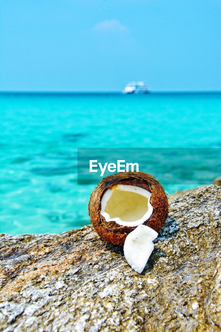 Opened tropical coconut on sea background