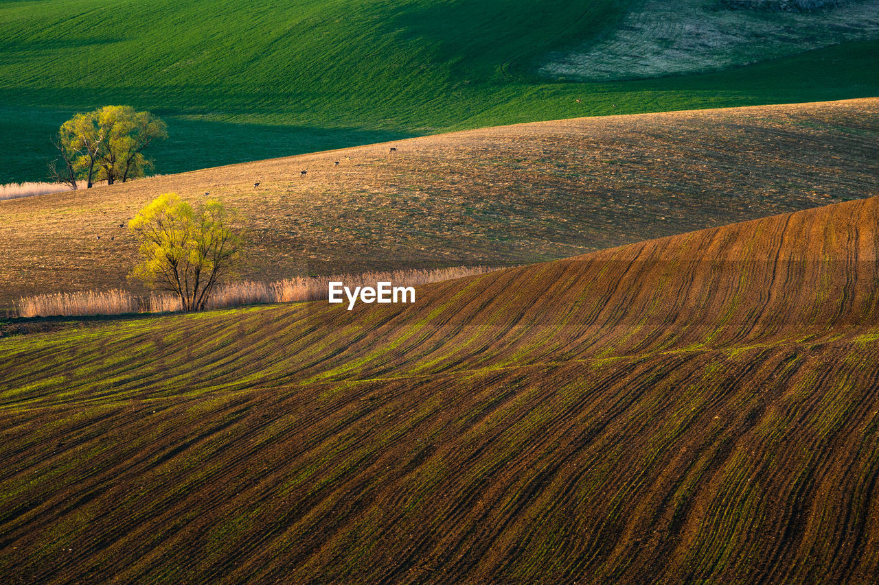 Rural landscape of turiec region in northern slovakia.