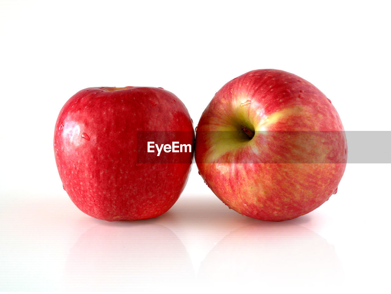 CLOSE-UP OF APPLES ON APPLE AGAINST WHITE BACKGROUND