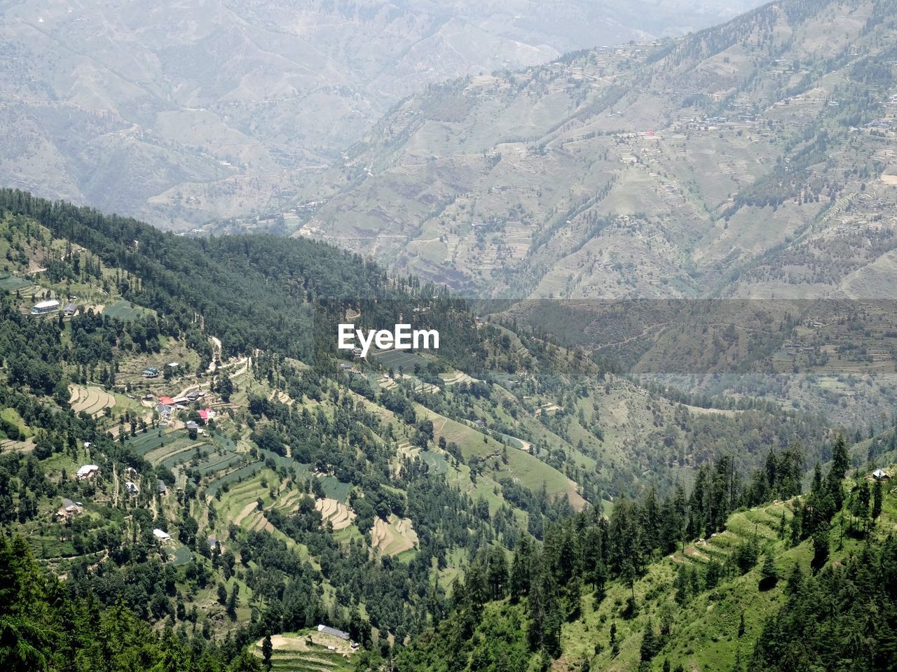 HIGH ANGLE VIEW OF TREES AND MOUNTAINS