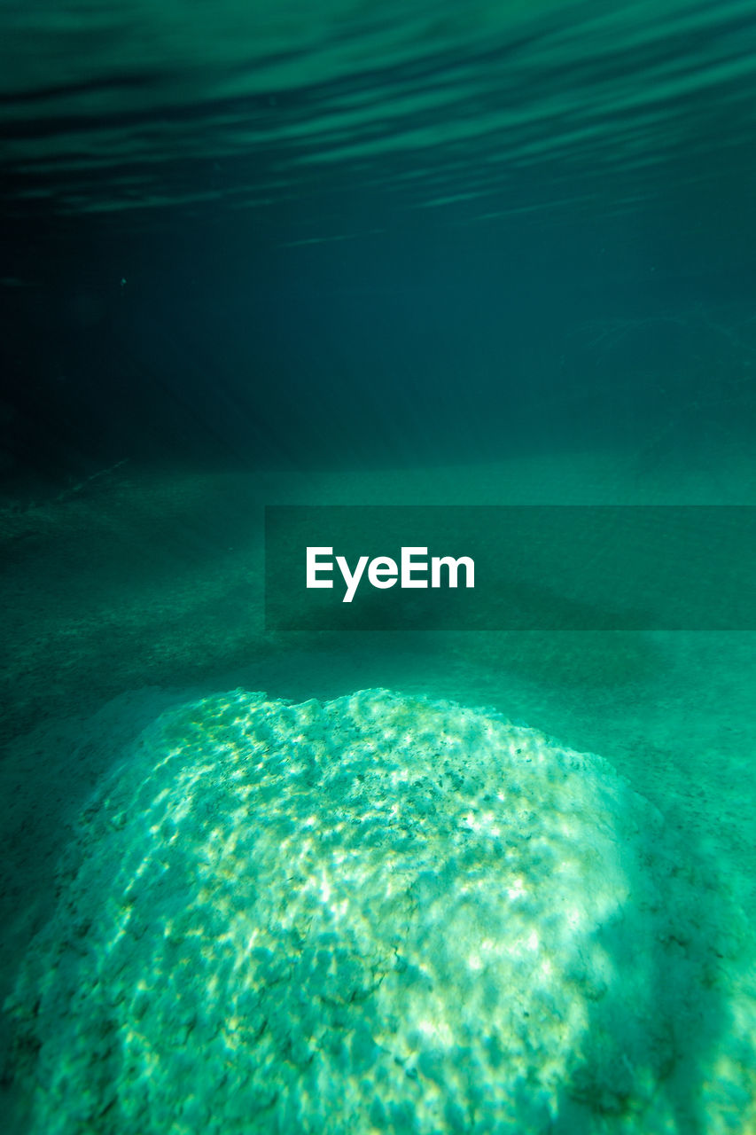 Underwater view of plitvice lakes, croatia