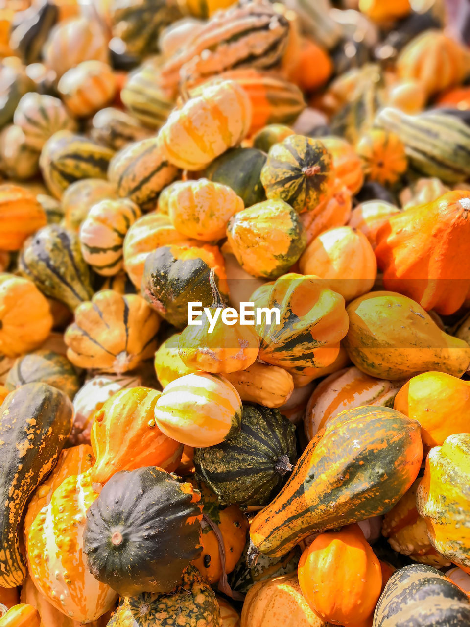 Close-up of vegetables for sale in market