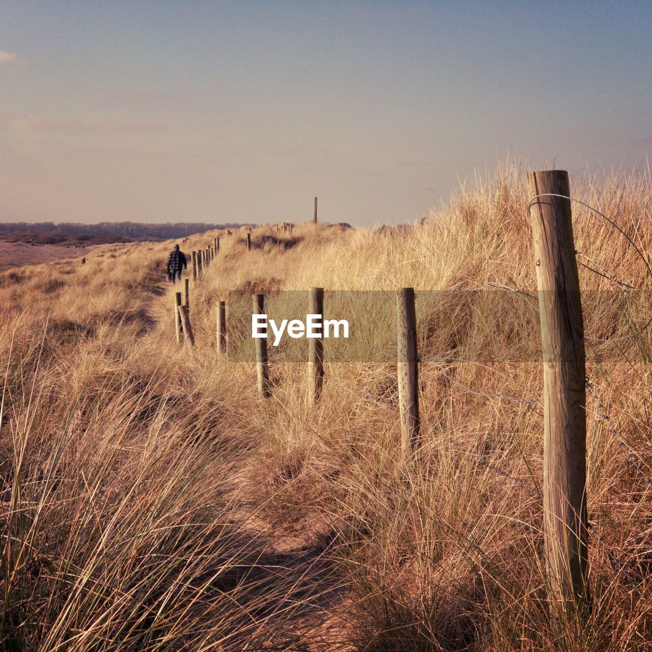 Wooden posts on field against clear sky