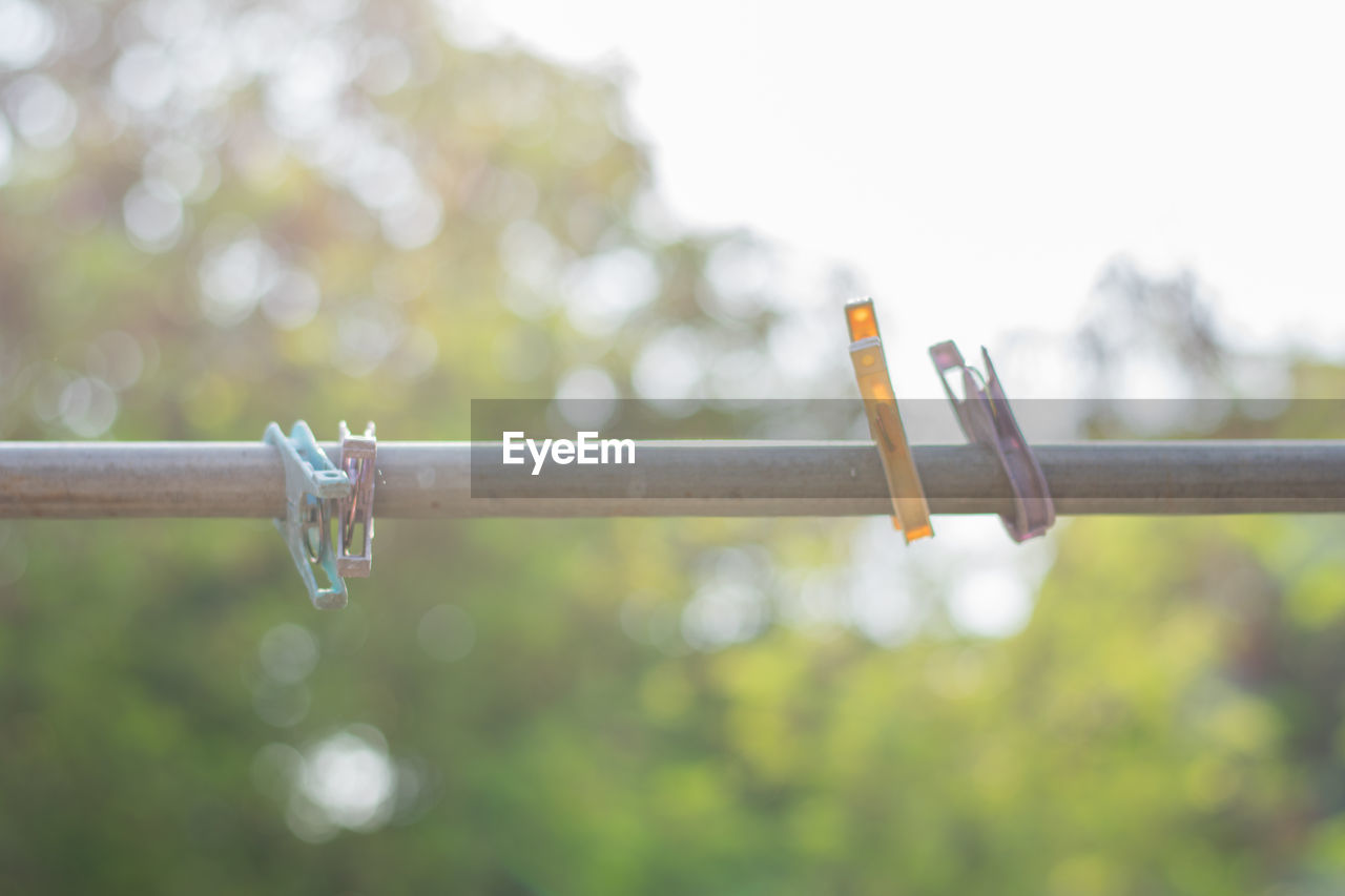 CLOSE-UP OF WATER DROPS ON CLOTHESLINE