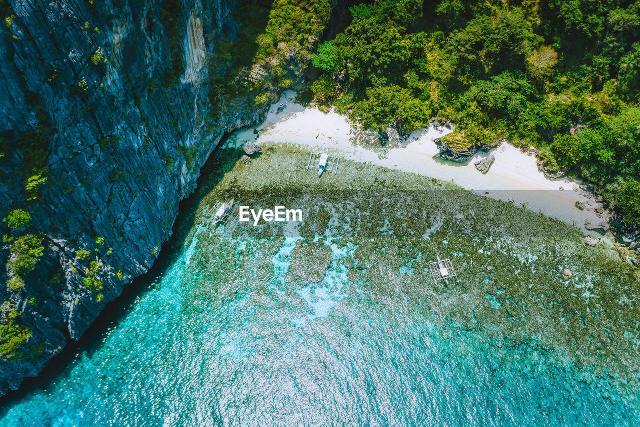 High angle view of waterfall in forest