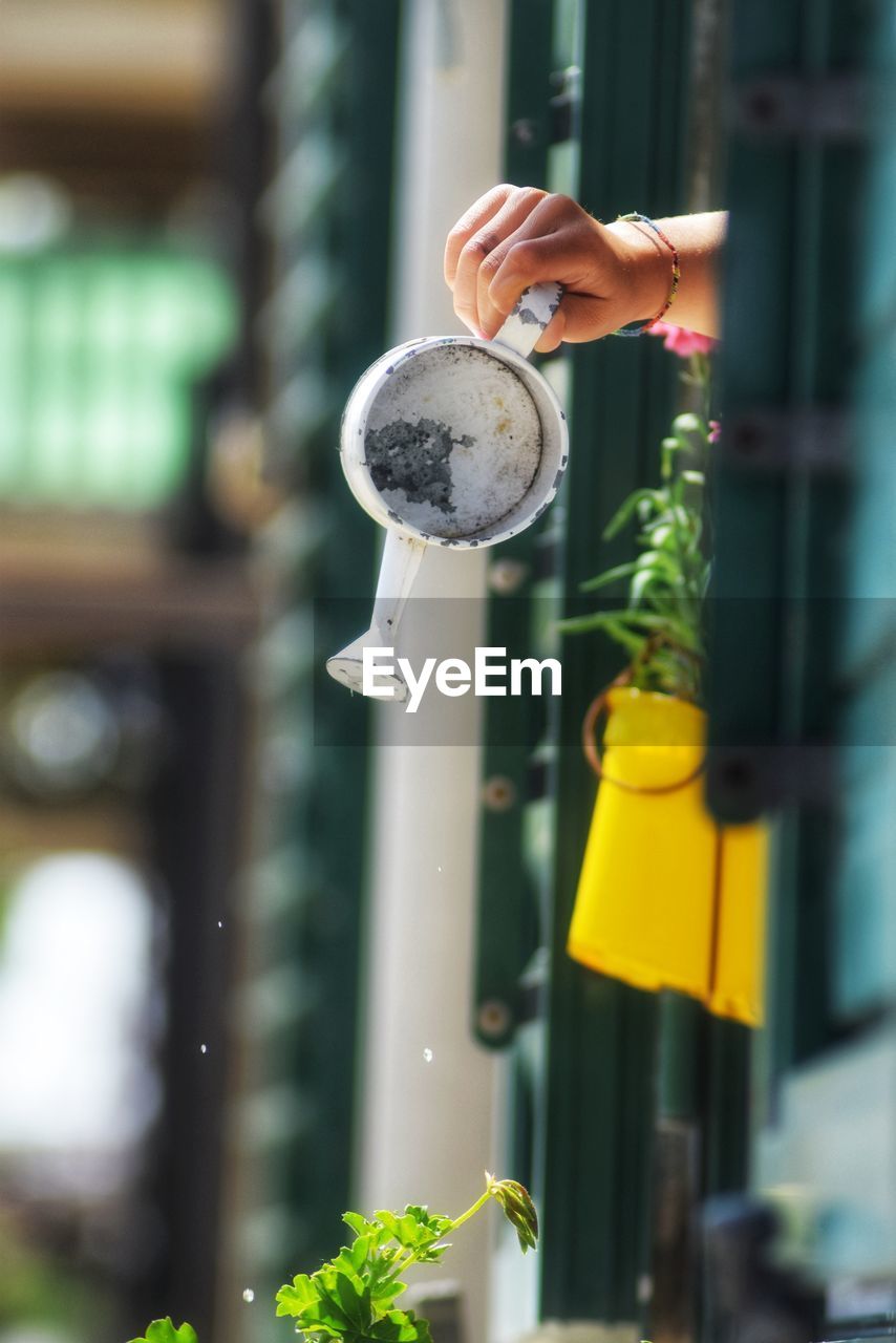 Cropped hand of woman holding light bulb