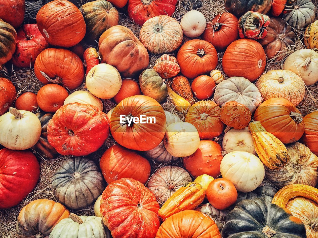 Directly above shot of pumpkins for sale