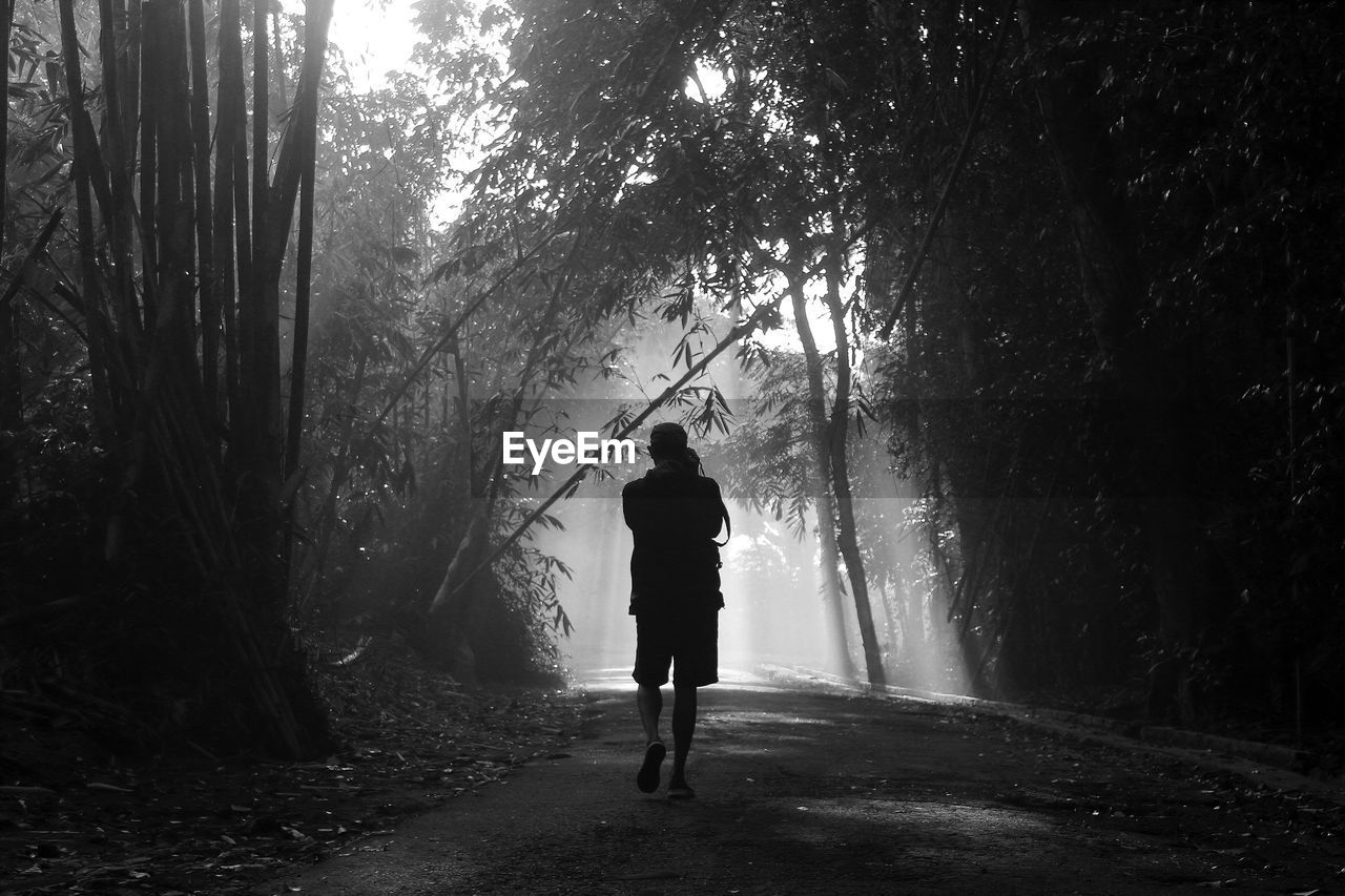 Rear view of man walking in forest in black and white