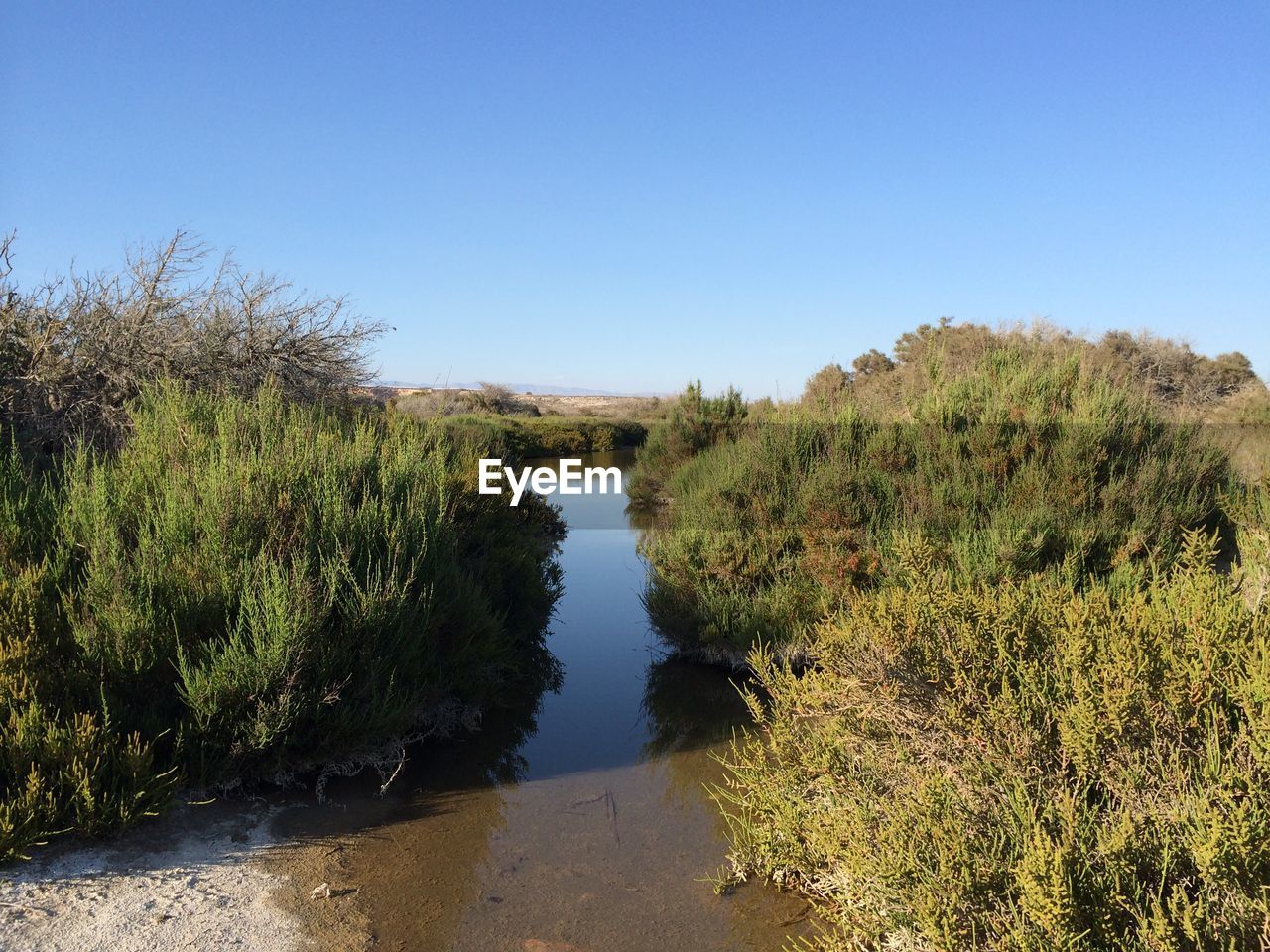 SCENIC VIEW OF RIVER AGAINST BLUE SKY