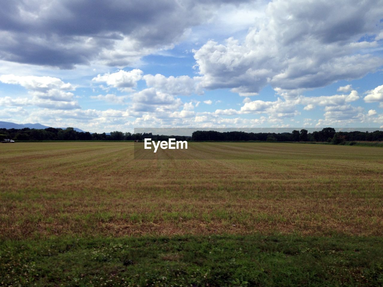 Scenic view of grassy field against cloudy sky