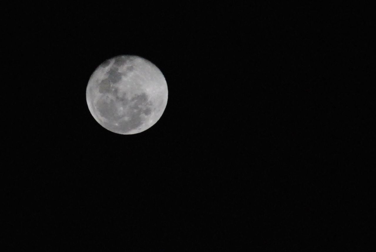 LOW ANGLE VIEW OF MOON IN SKY