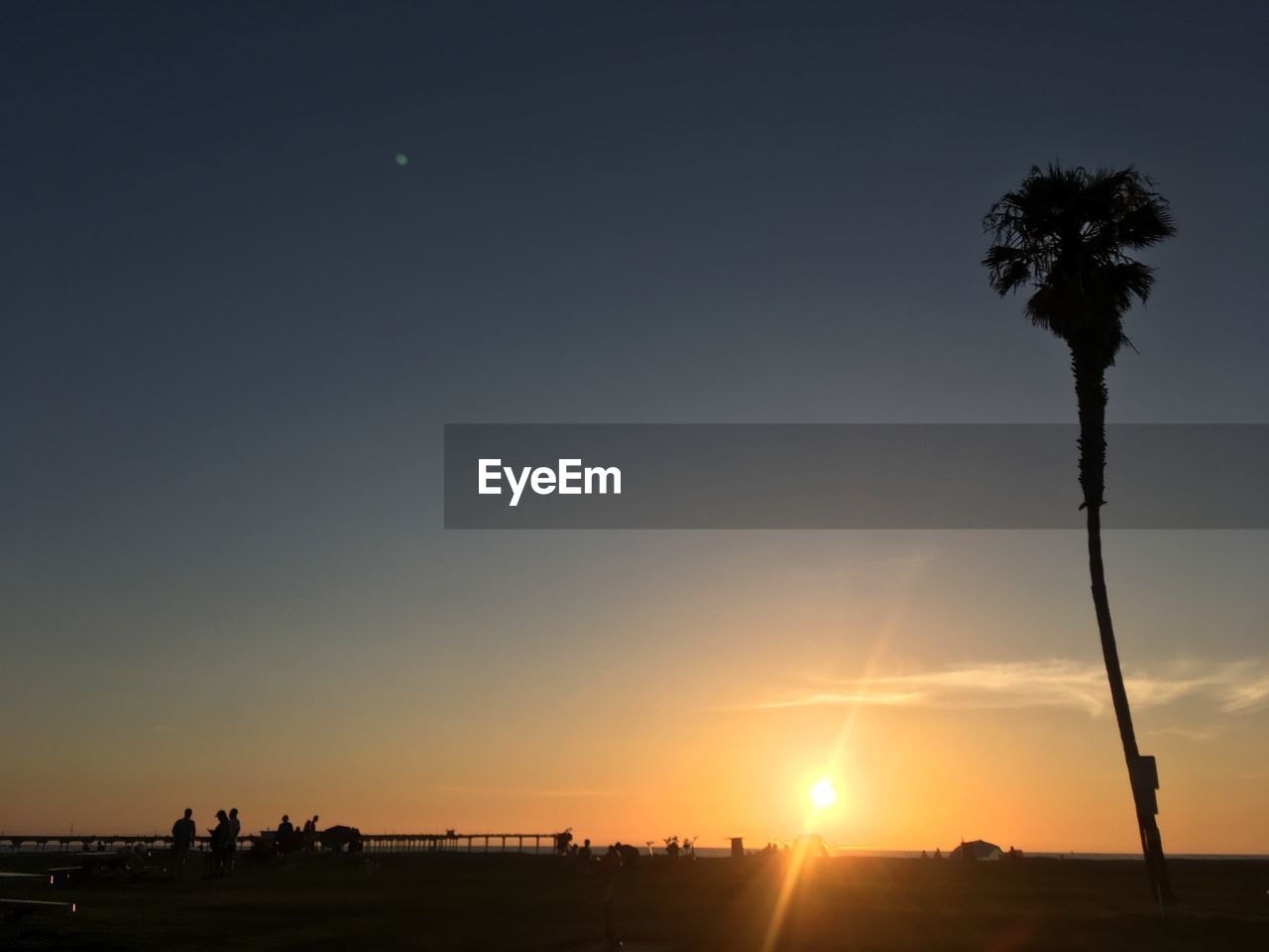 Silhouette palm trees on field against sky during sunset