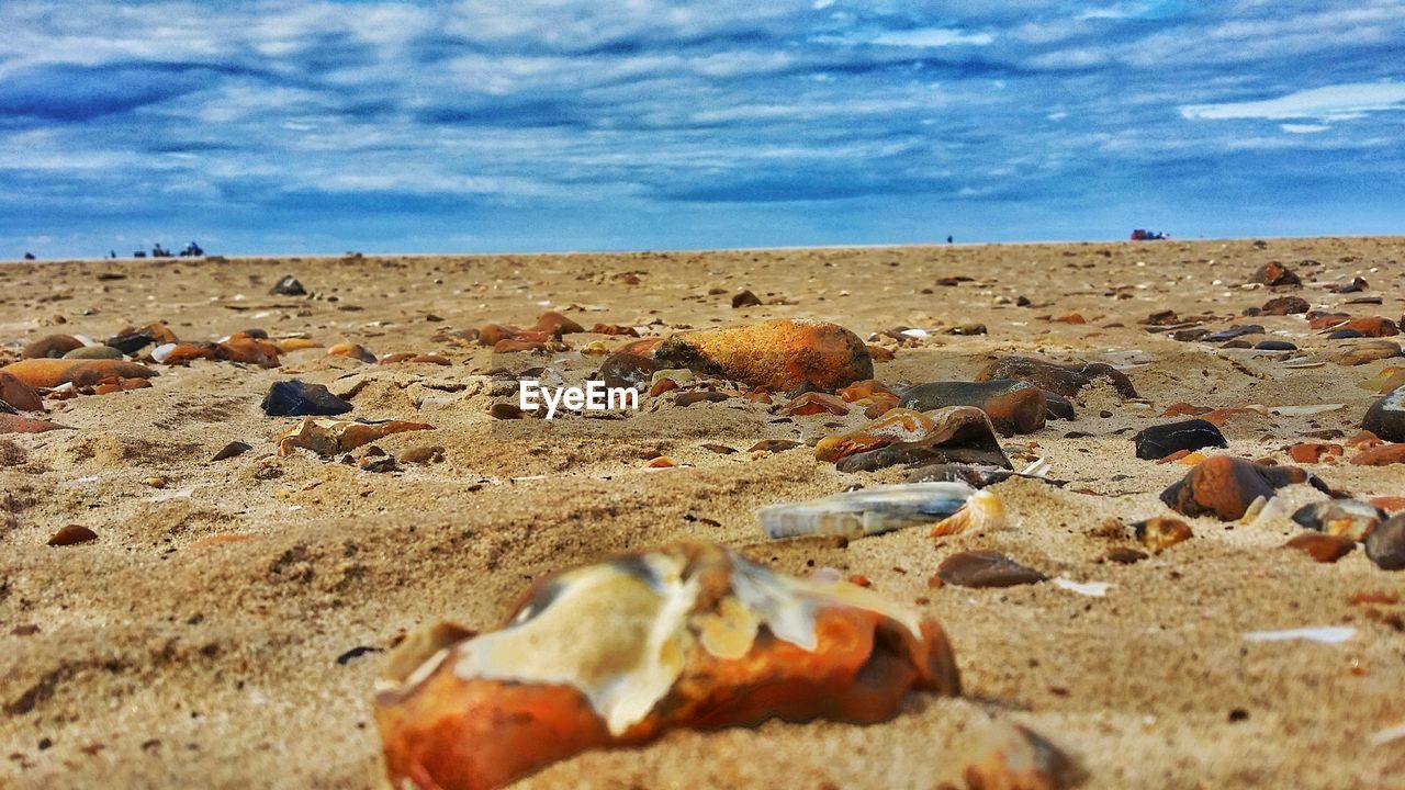 SCENIC VIEW OF SEA SHORE AGAINST SKY