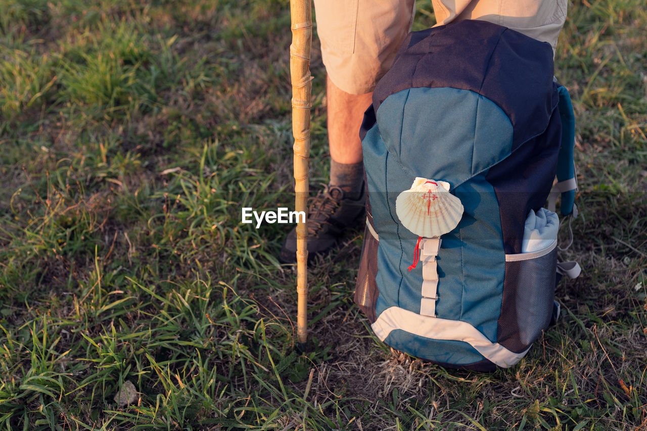 From above of crop unrecognizable male tourist with trekking stick and backpack on meadow in summertime