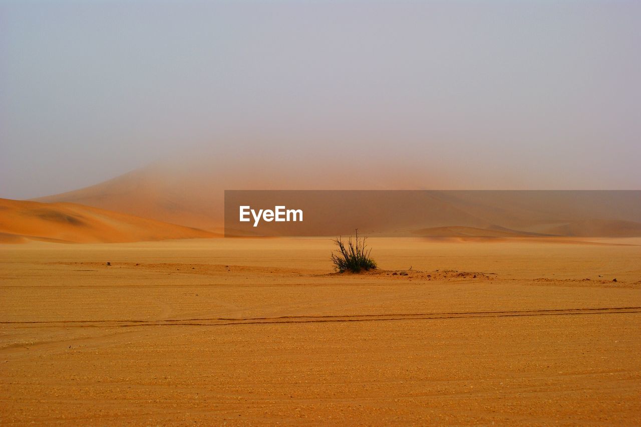 Scenic view of desert during fog