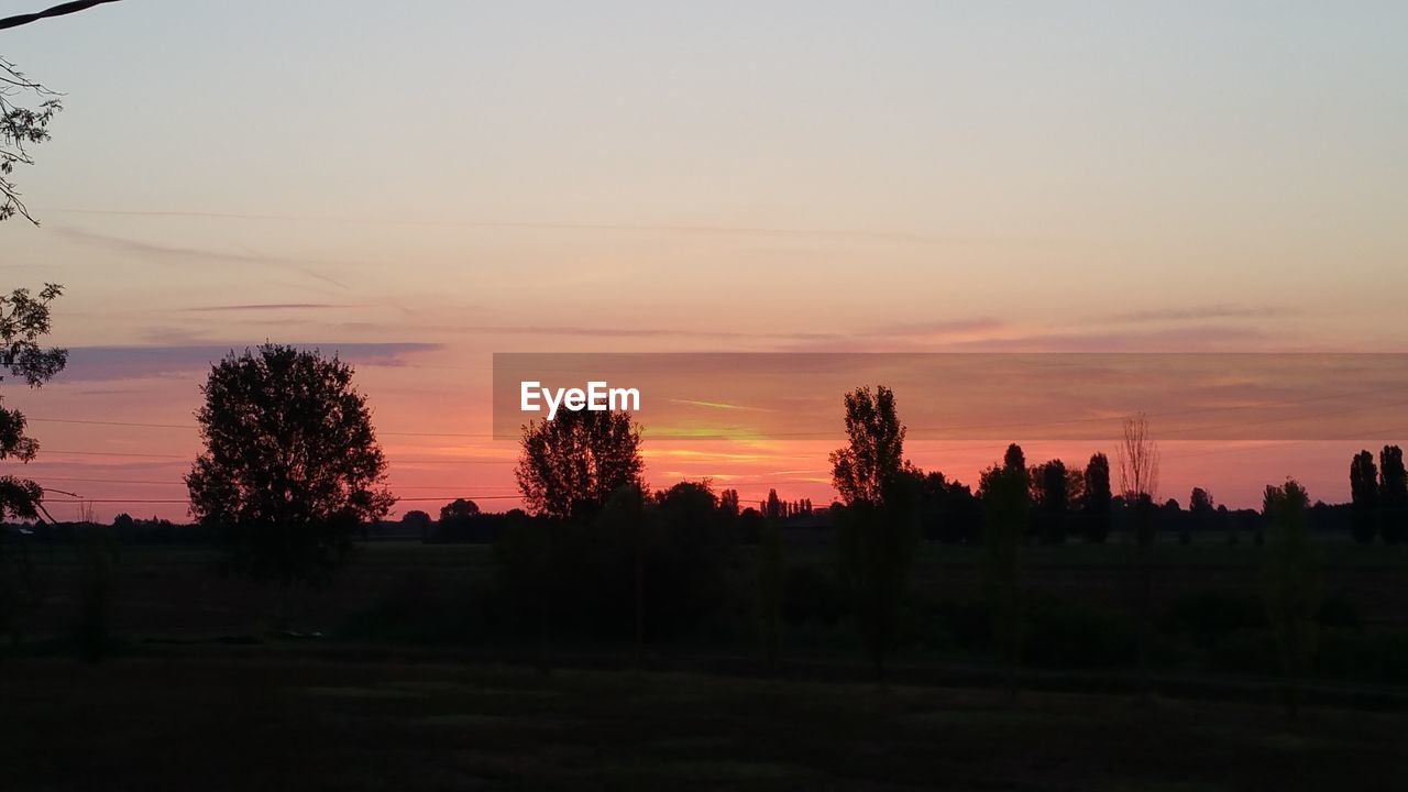 SILHOUETTE TREES ON FIELD AGAINST ORANGE SKY AT SUNSET