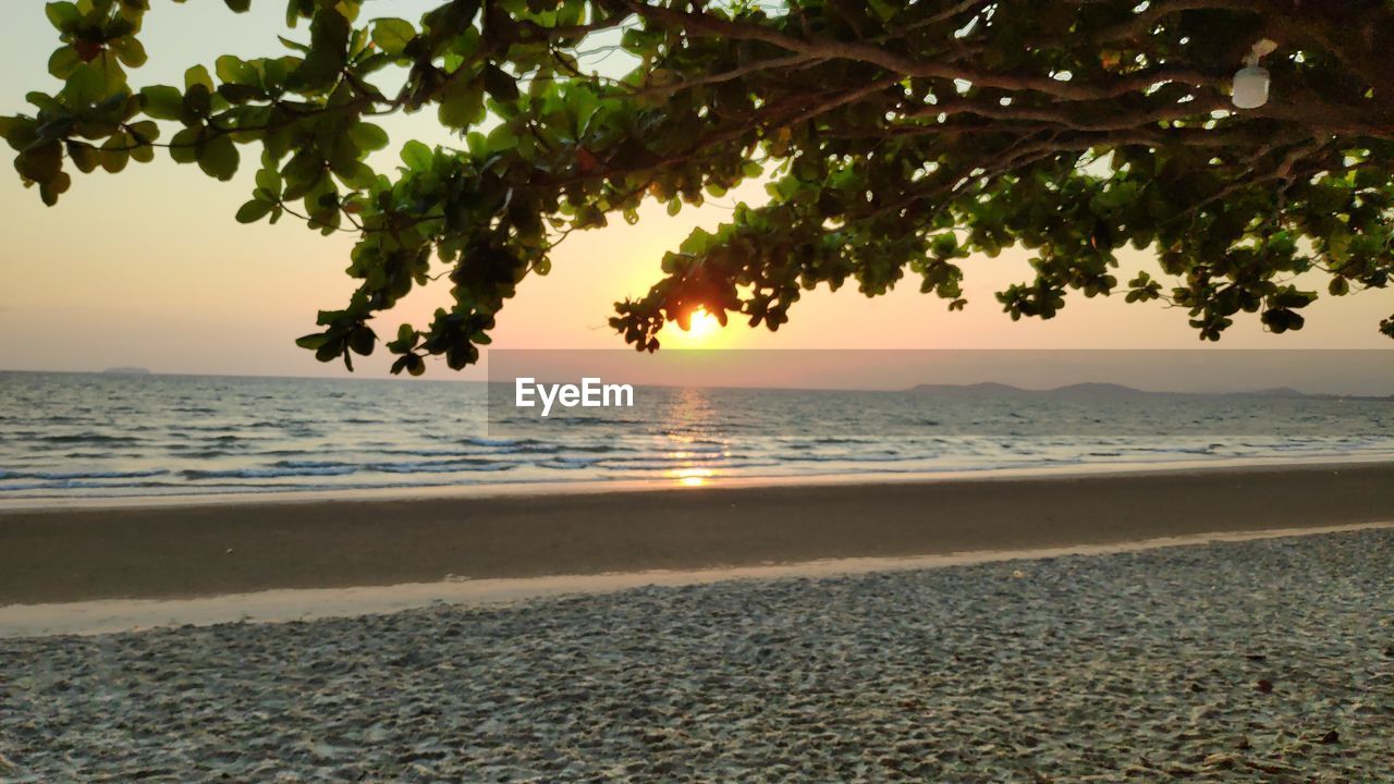 SCENIC VIEW OF BEACH DURING SUNSET