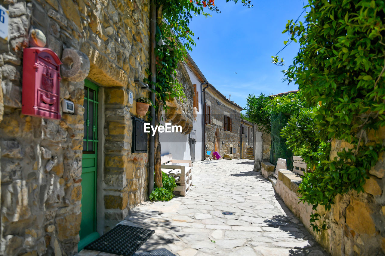 STREET AMIDST HOUSES AGAINST BUILDINGS