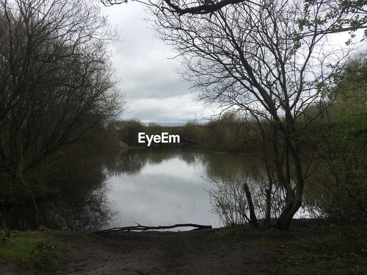 SCENIC VIEW OF RIVER BY BARE TREES AGAINST SKY