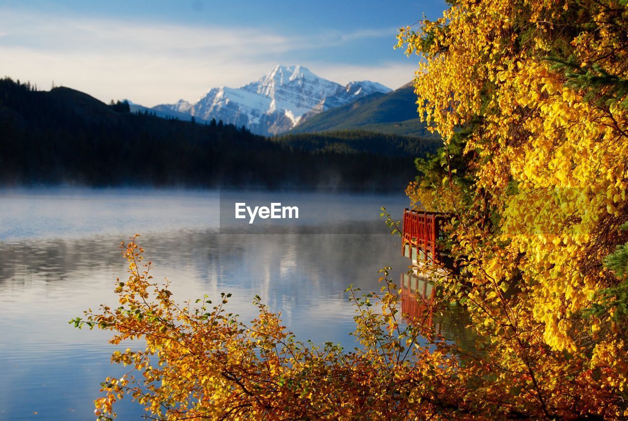 Scenic view of lake by trees against sky