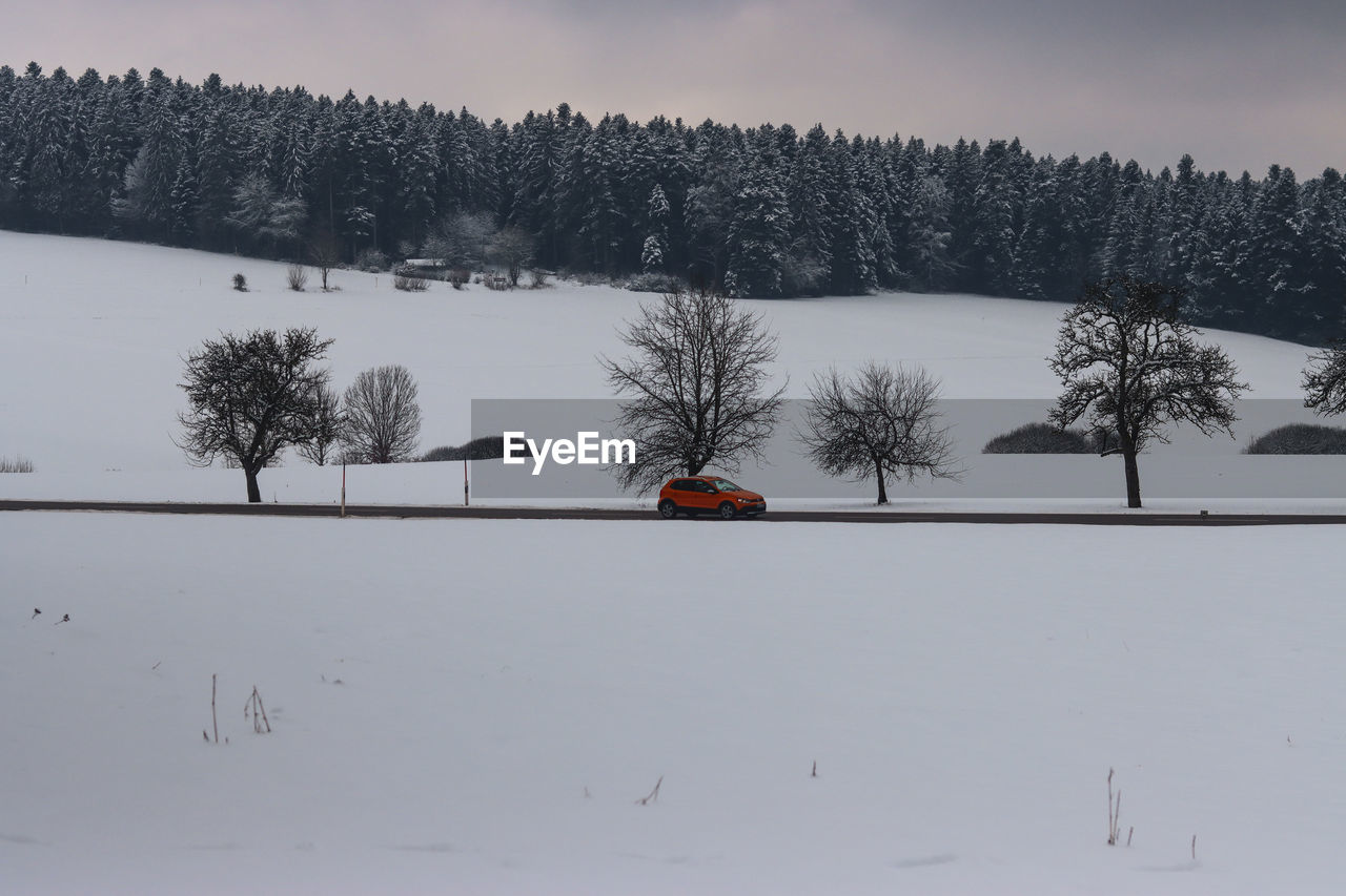 Snow covered field by trees