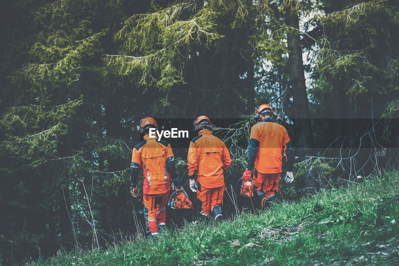 Men walking in the forest holding a chainsaw and tools. lumberjacks working outdoor in the forest