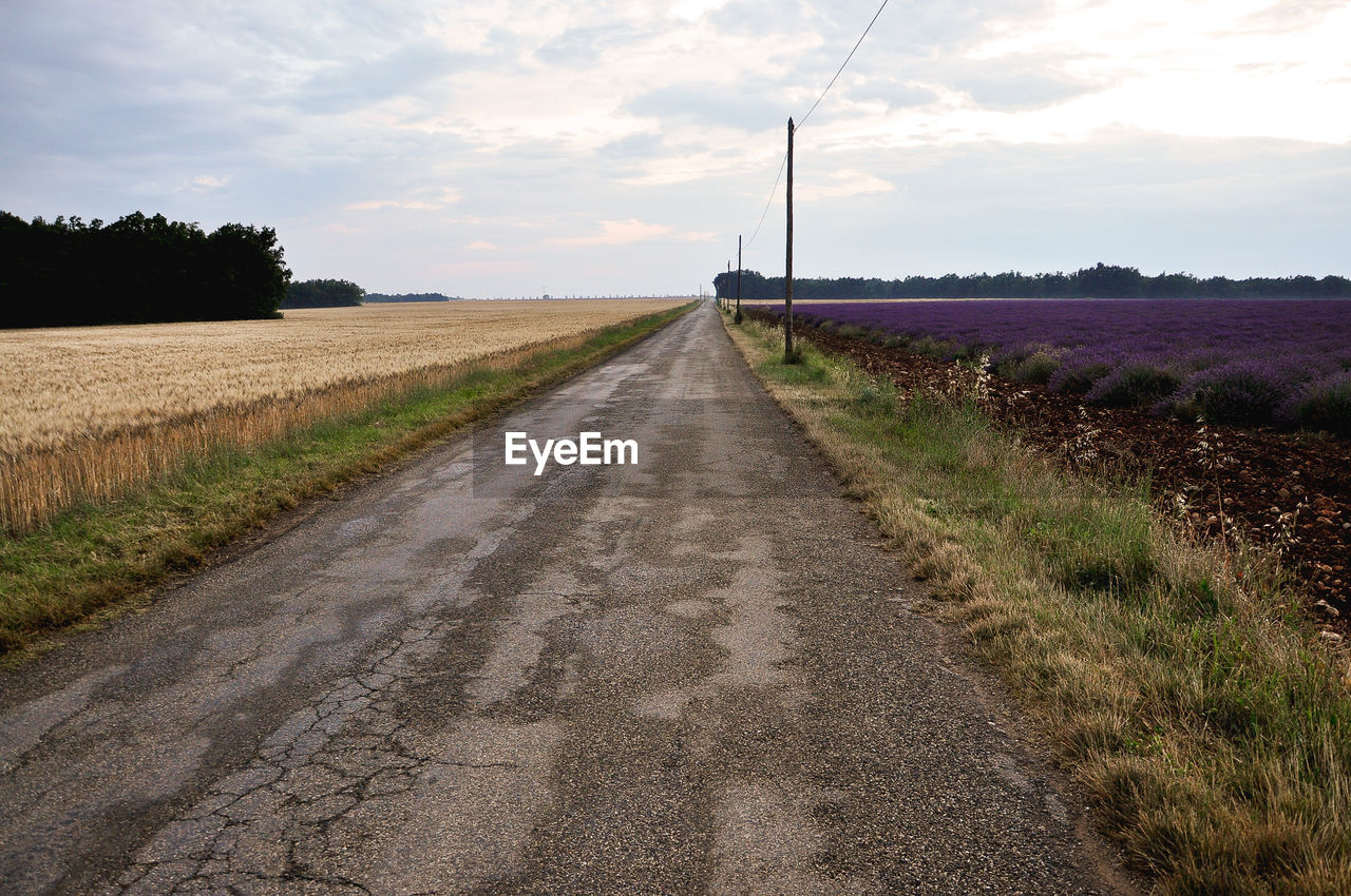 Dirt road passing through field