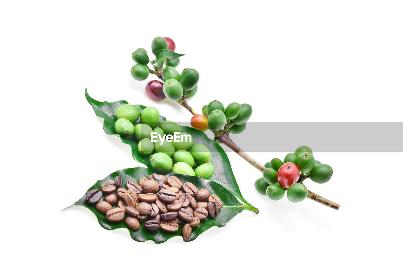 Close-up of coffee beans with leaves over white background