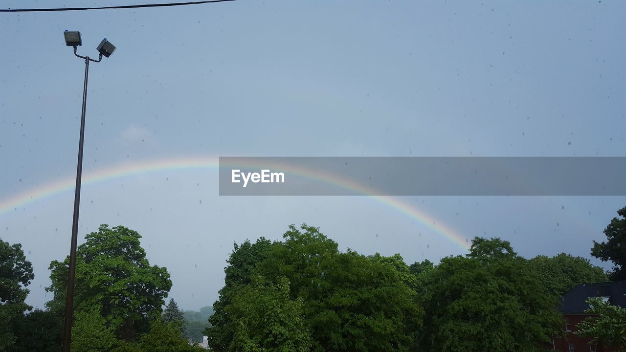 RAINBOW OVER TREES AGAINST CLEAR SKY