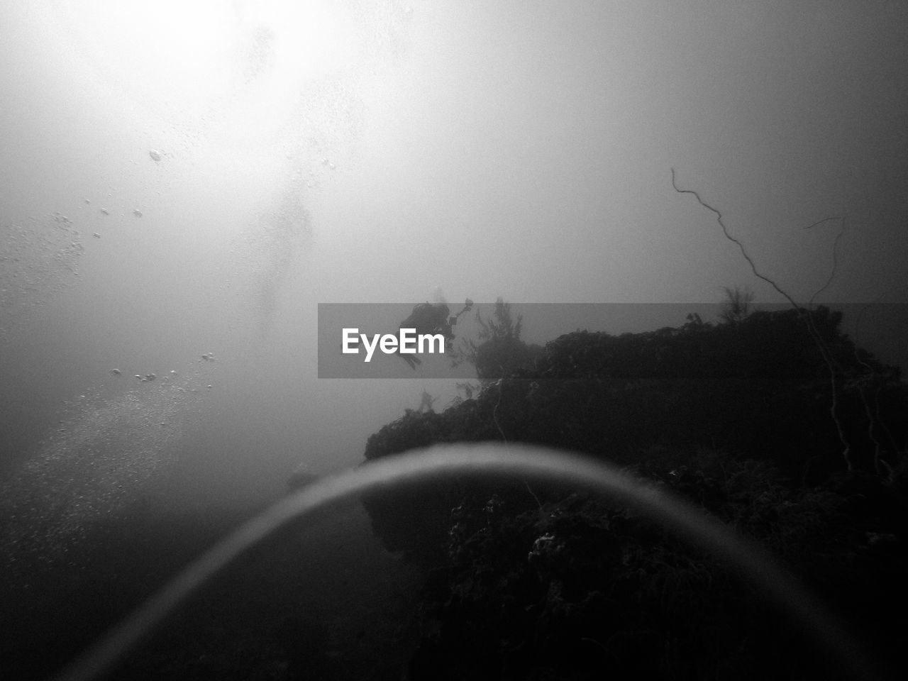 Low angle view of man scuba diving in sea