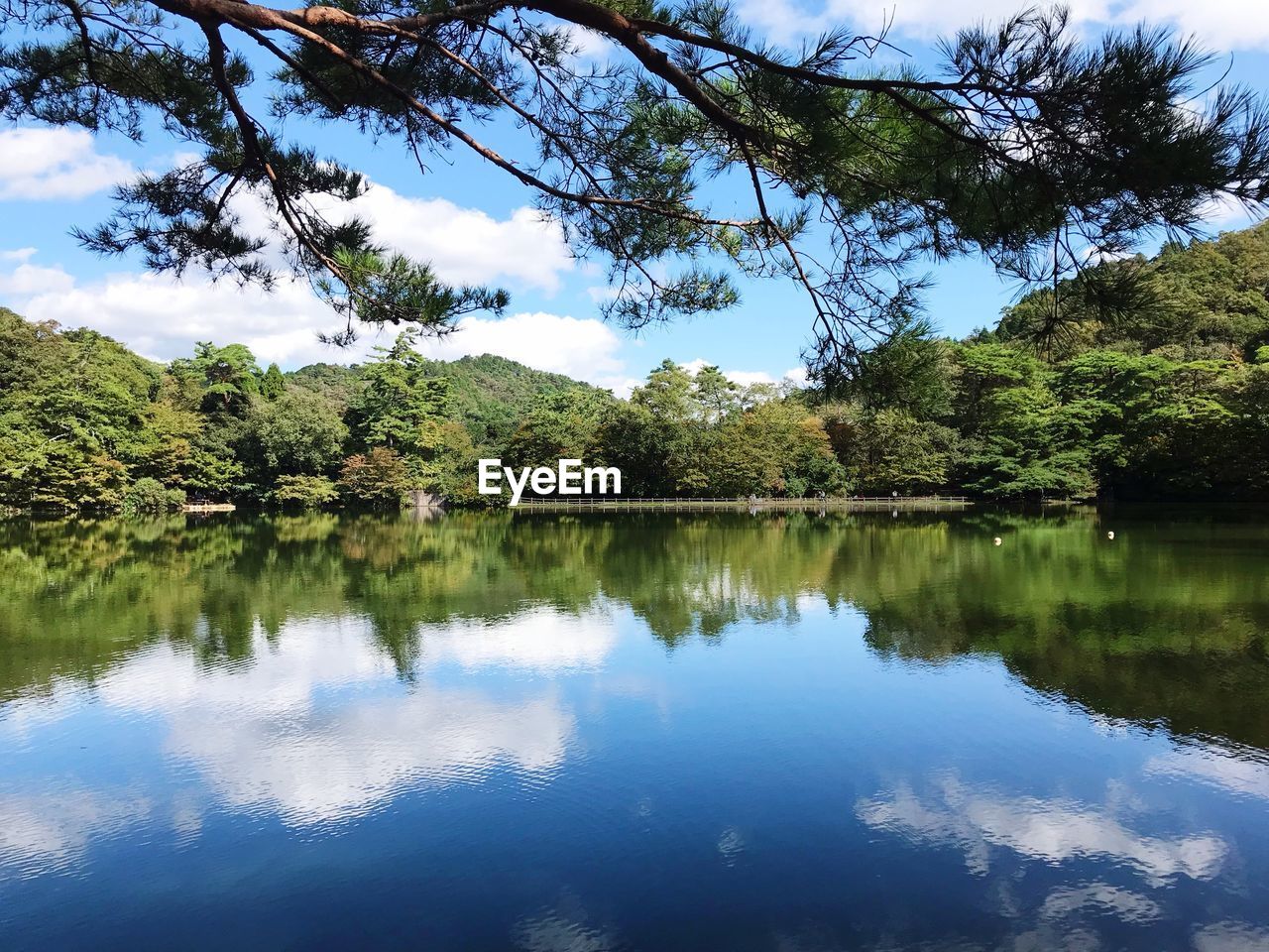 Scenic view of lake by trees against sky