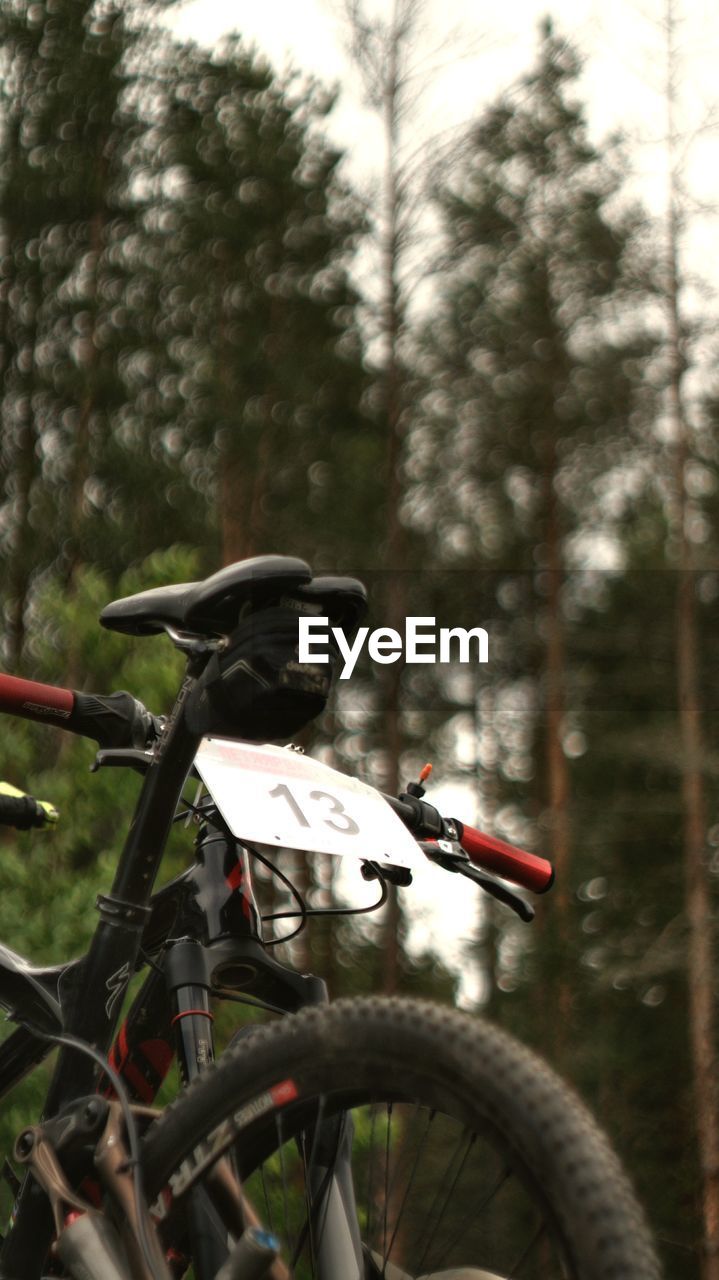 PERSON RIDING BICYCLE ON PLANT