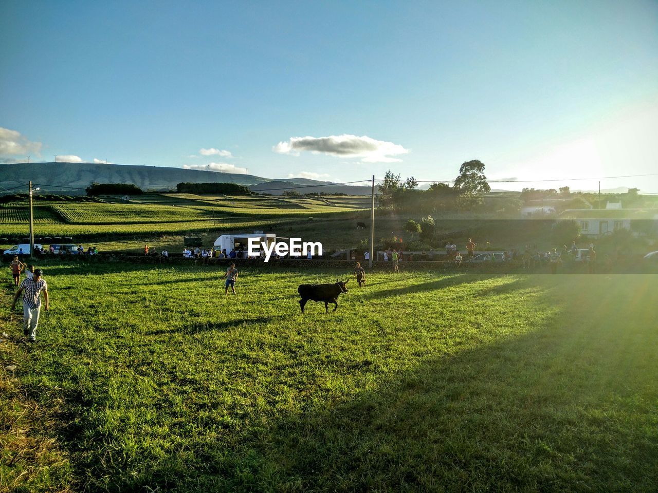 Scenic view of grassy field against sky on sunny day