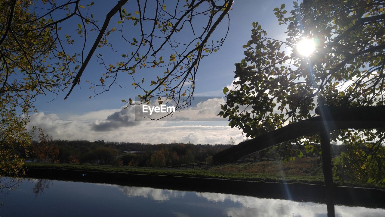 TREES ON LAKE AGAINST SKY