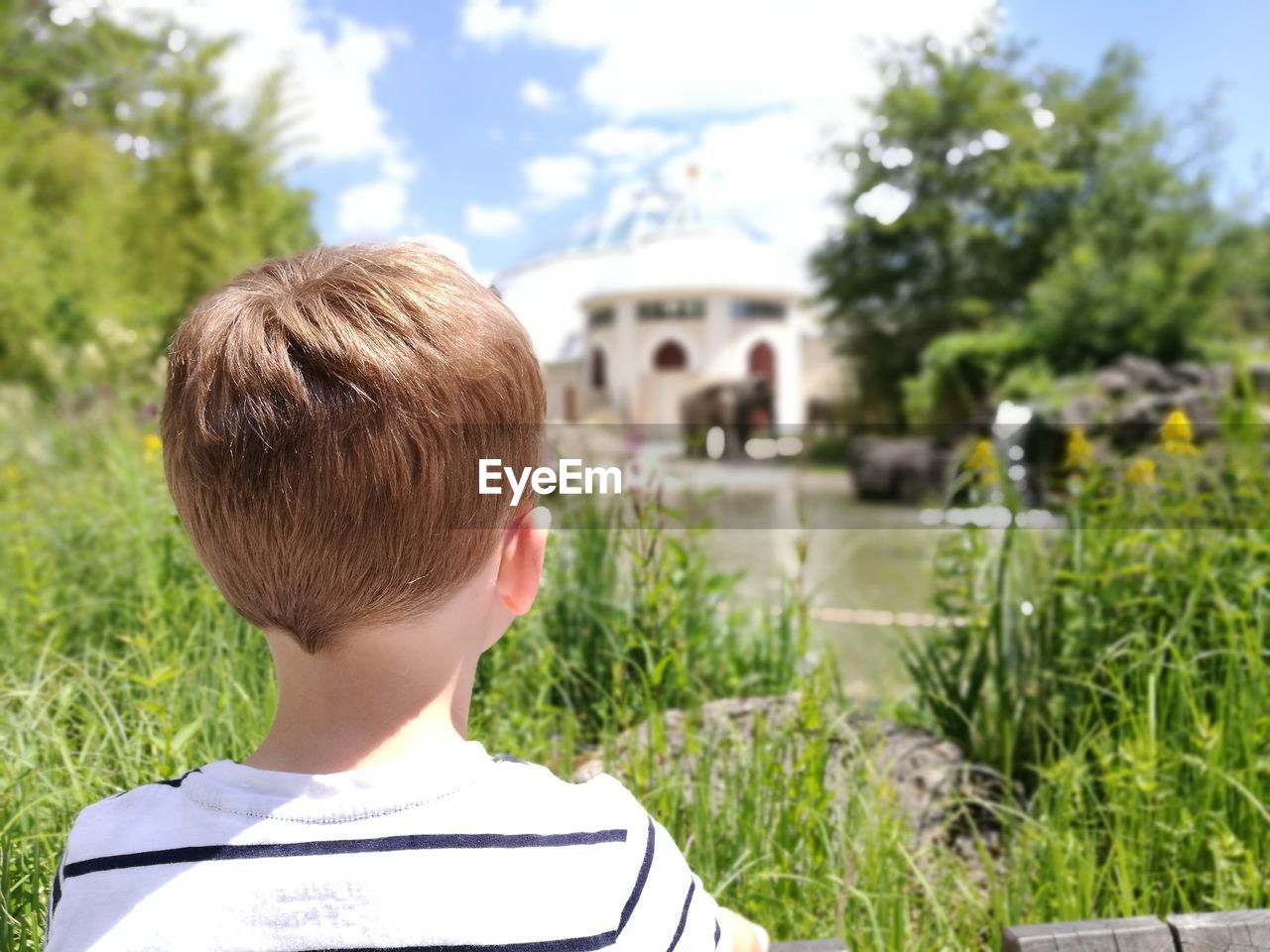 Rear view of boy against plants in sunny day