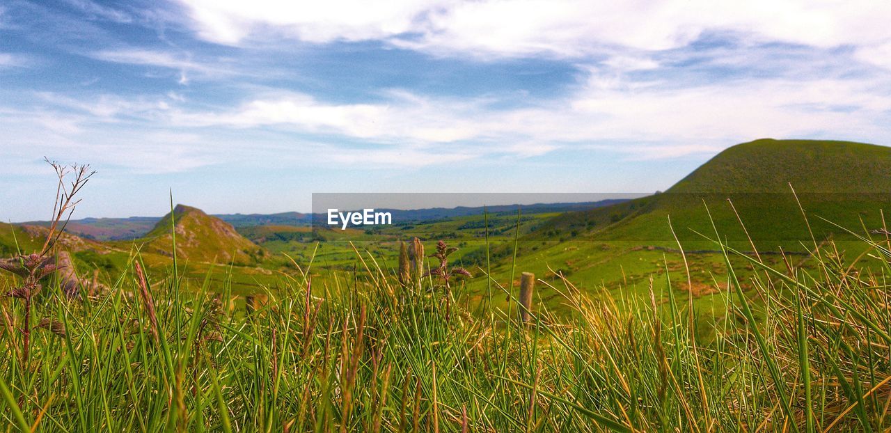 SCENIC VIEW OF GRASSY LANDSCAPE AGAINST SKY