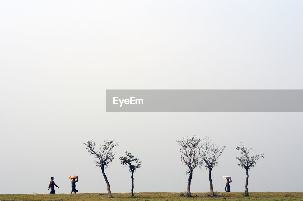 People walking on land by bare trees against clear sky