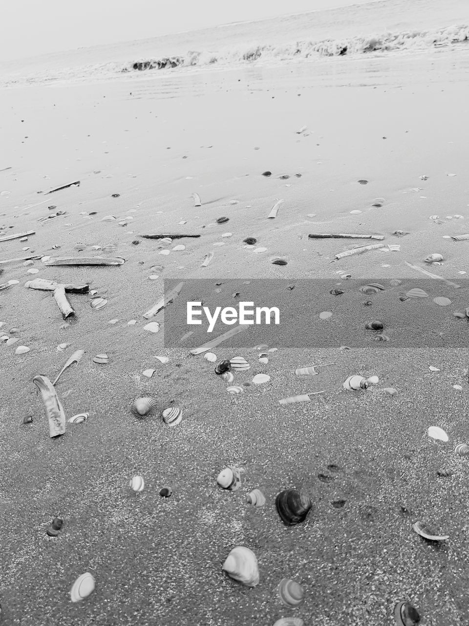 CLOSE-UP OF SAND ON SHORE