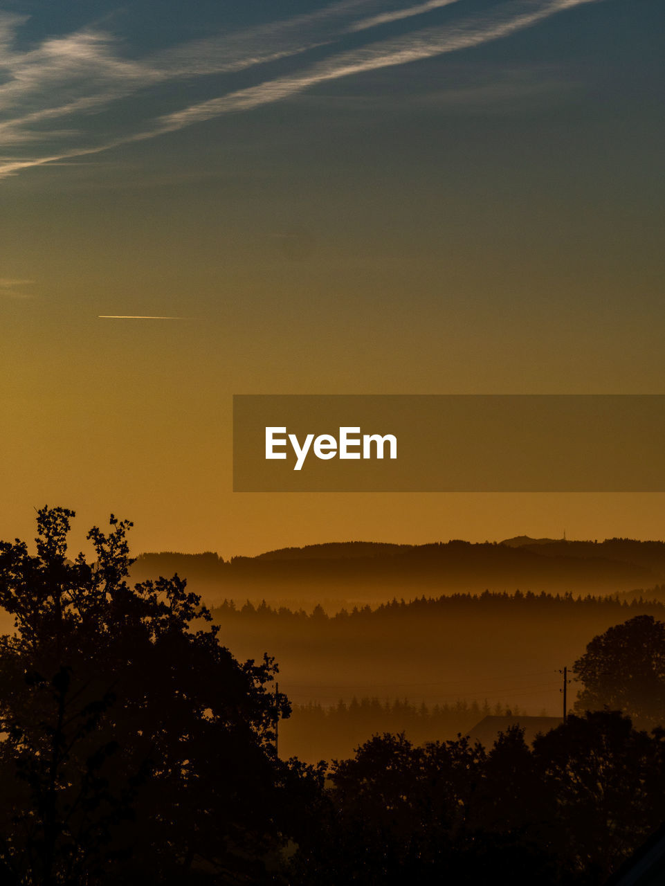 SILHOUETTE TREES AGAINST SKY DURING SUNSET