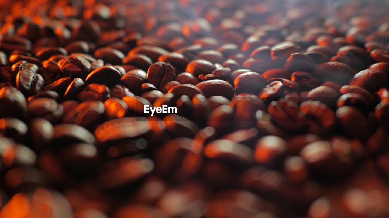 Full frame shot of coffee bean