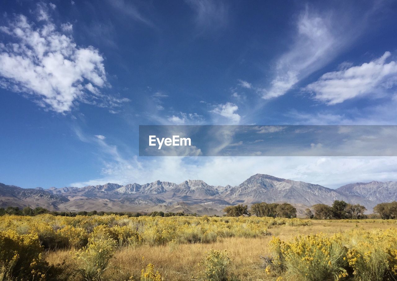 Scenic view of landscape against blue sky