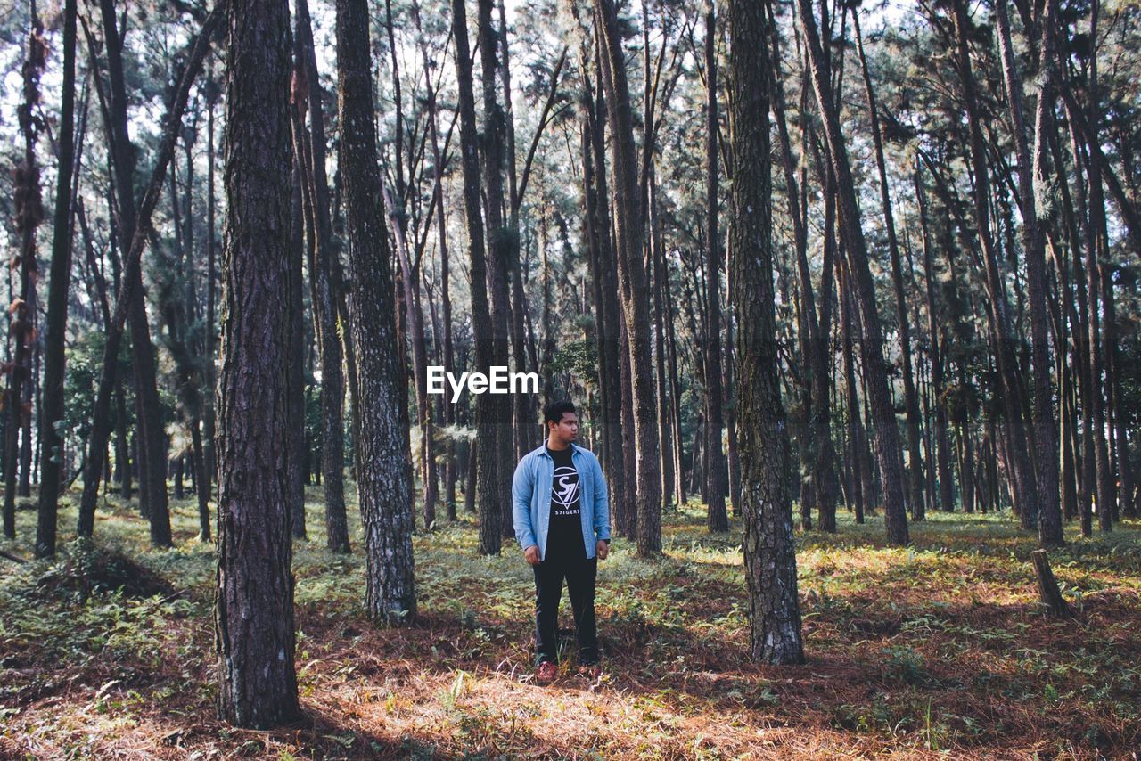 WOMAN STANDING IN FOREST