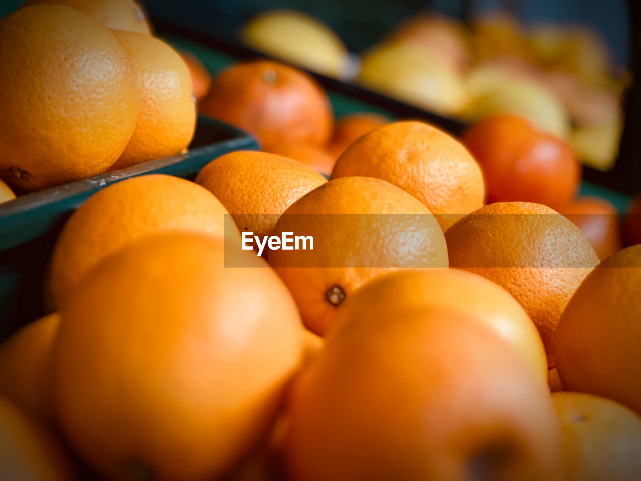 Close up of oranges