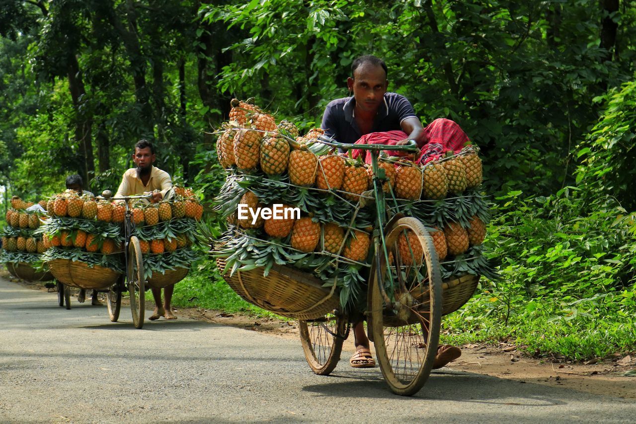 Transporting pineapple by bicycle to the local market through the road in the middle of the forest