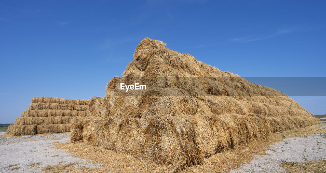 HAY BALES ON LANDSCAPE AGAINST BLUE SKY